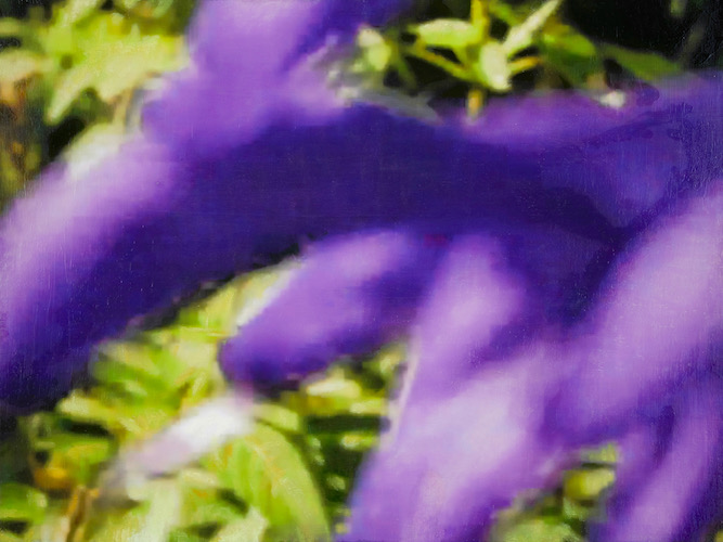 是枝 開  新作展