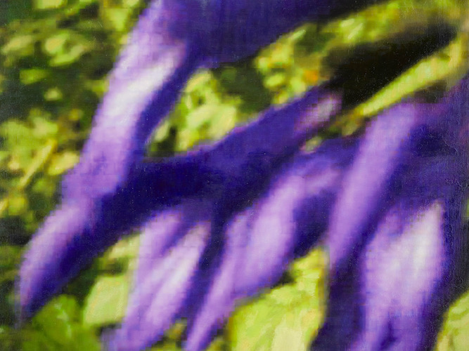 是枝 開  新作展