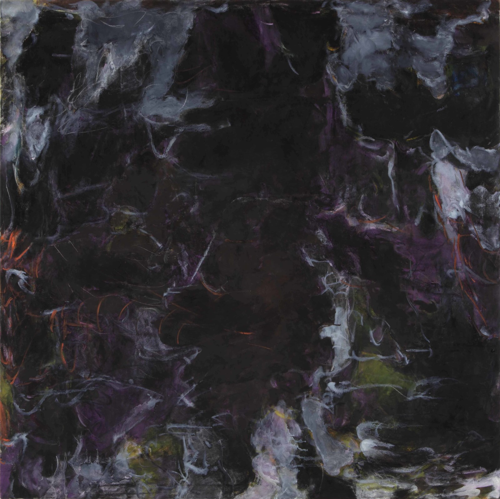 松本陽子《私的植物図鑑》 松本陽子《私的植物図鑑》