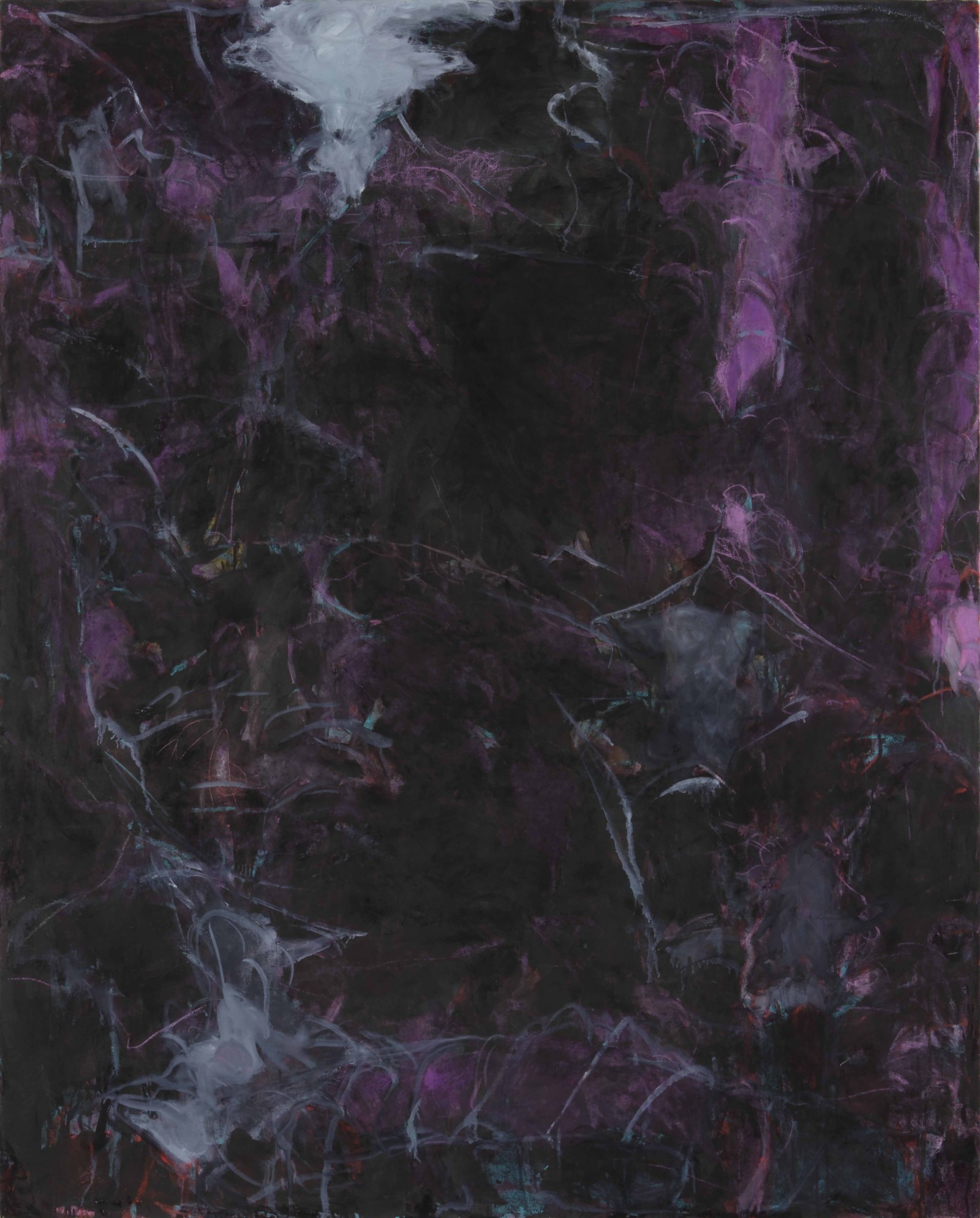 松本陽子《私的植物図鑑》 松本陽子《私的植物図鑑》