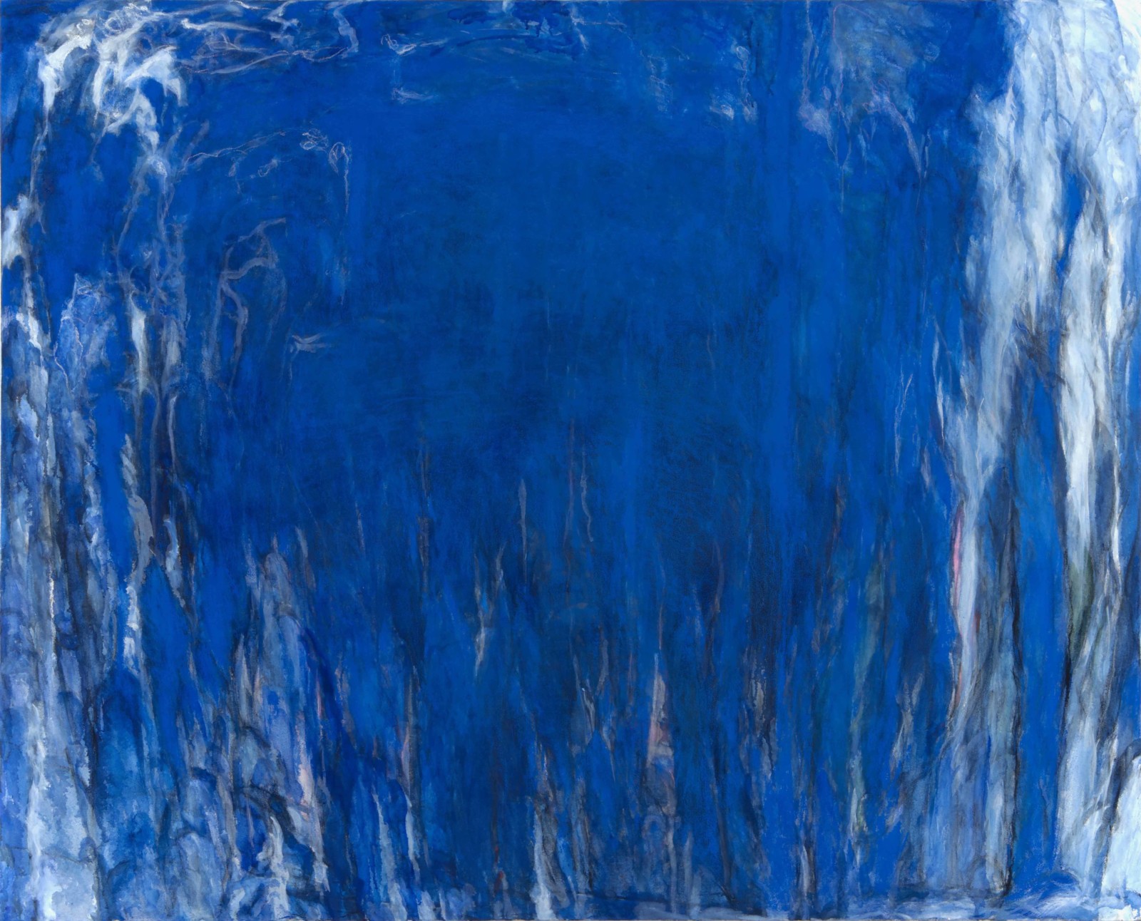 松本陽子《私的植物図鑑》 松本陽子《私的植物図鑑》