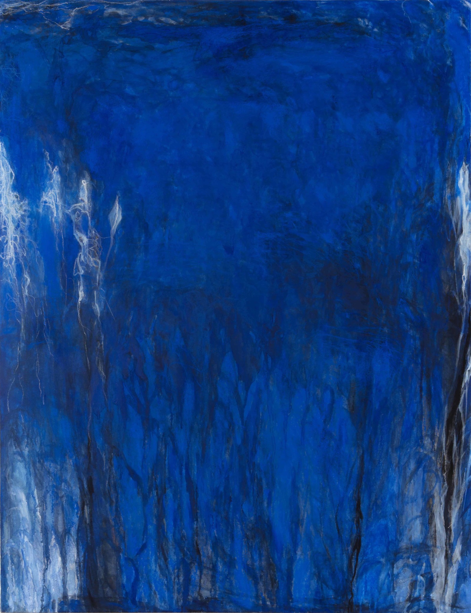 松本陽子《私的植物図鑑》 松本陽子《私的植物図鑑》