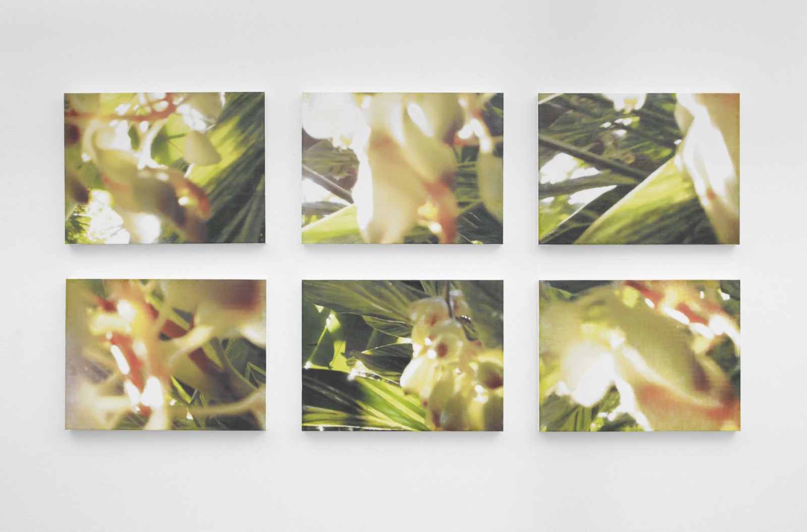 是枝 開  新作展