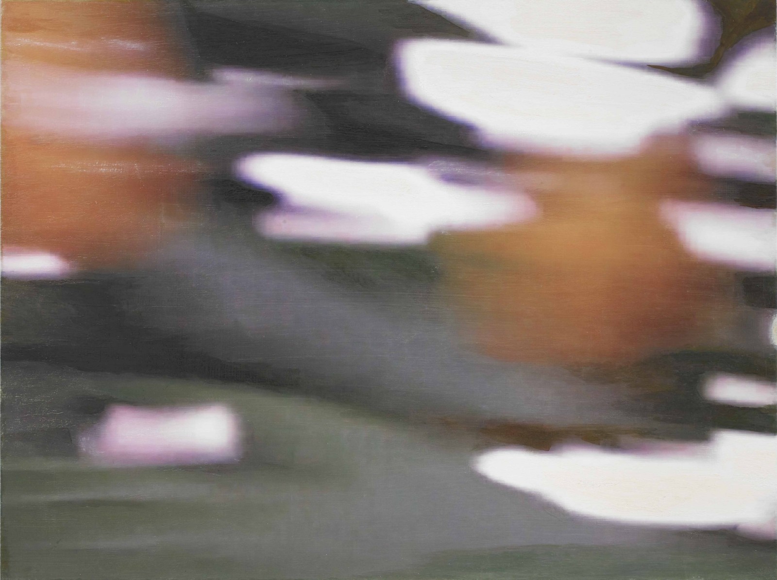 是枝 開  新作展