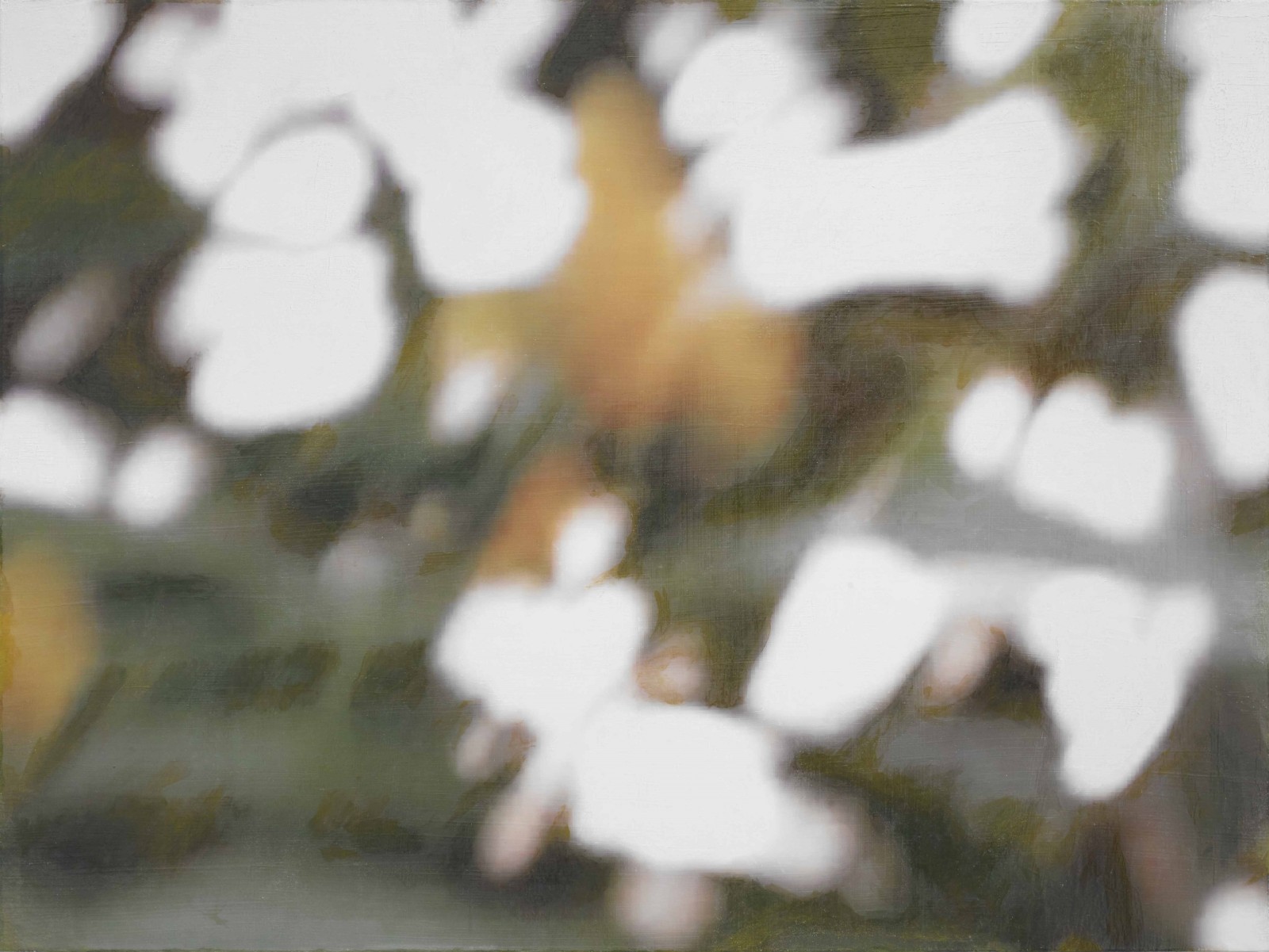 是枝 開  新作展