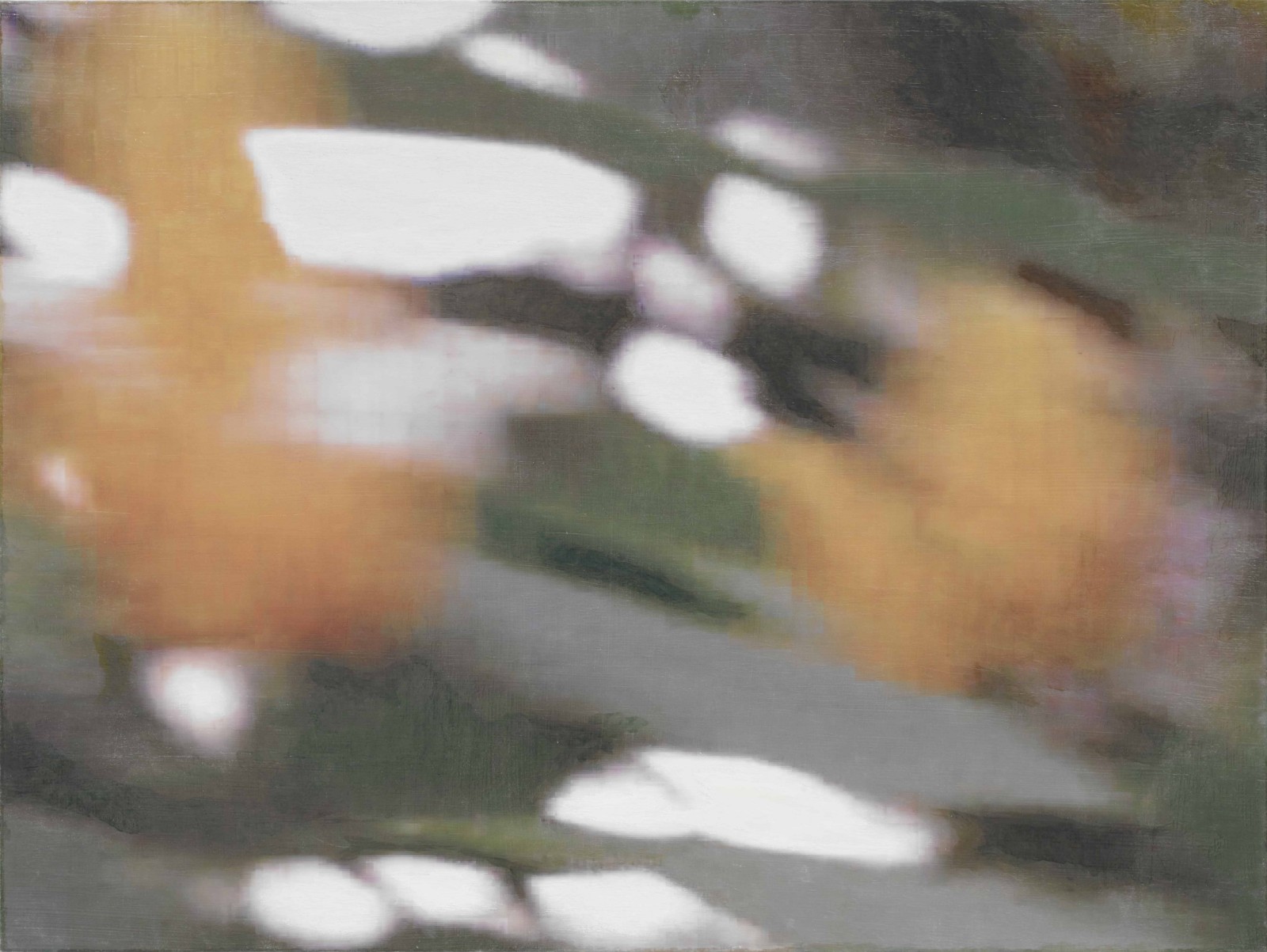 是枝 開  新作展