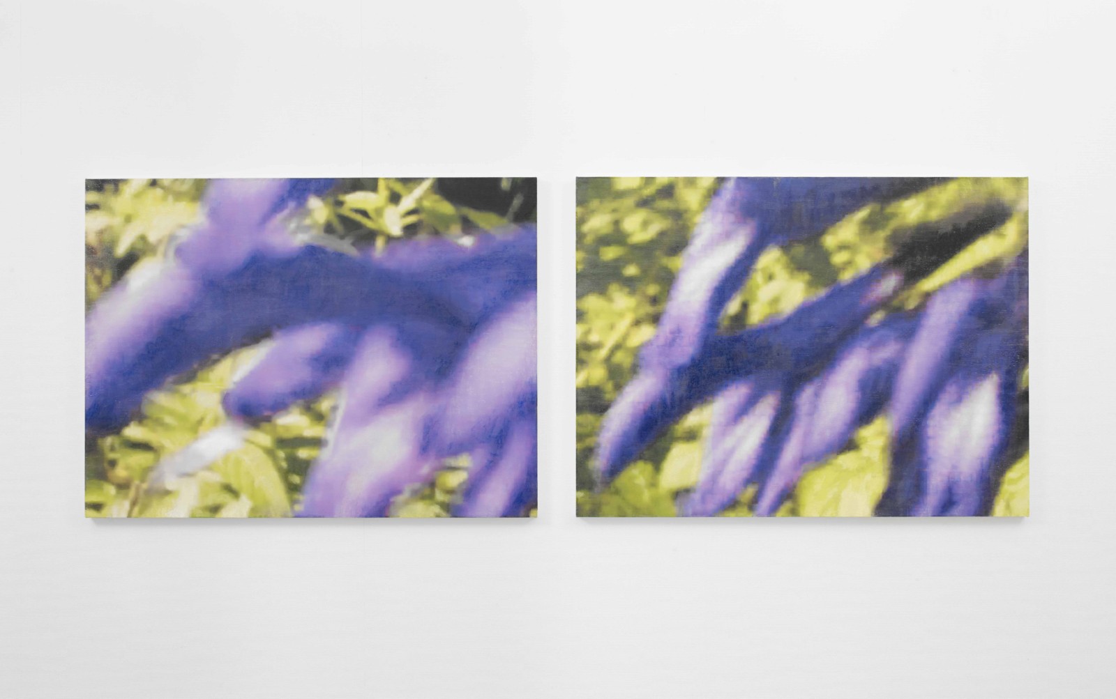 是枝 開  新作展