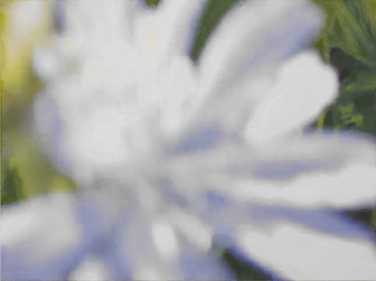 是枝 開  新作展