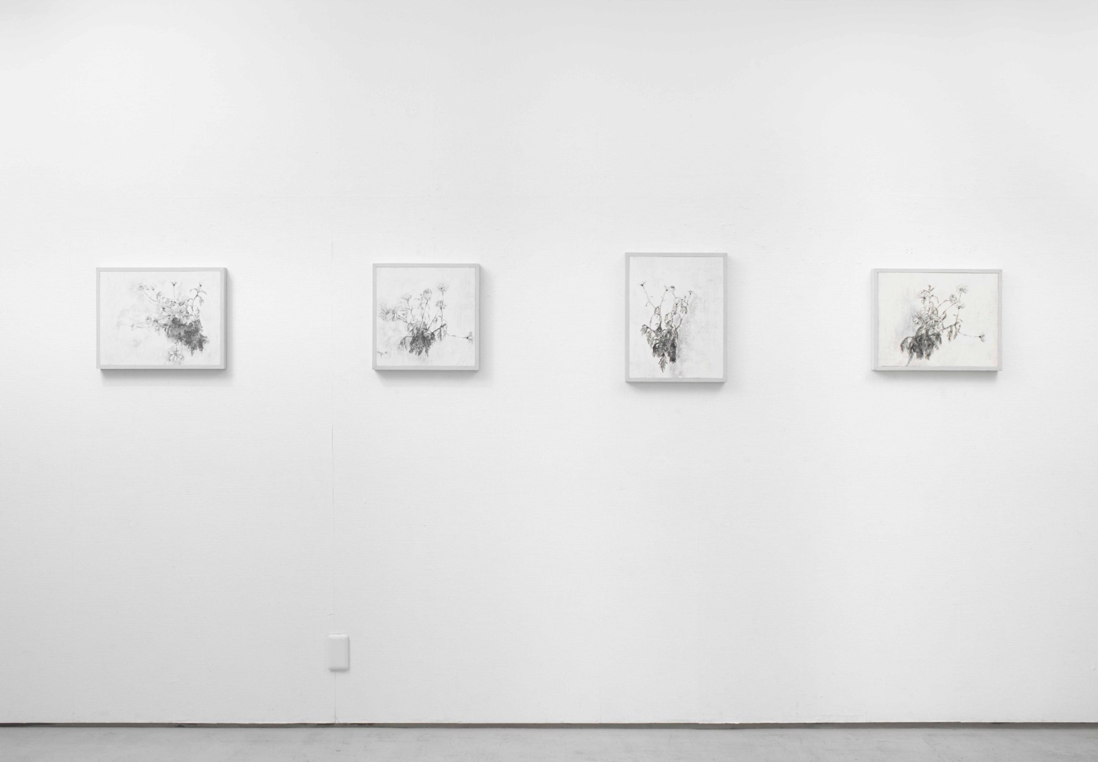 是枝 開  新作展