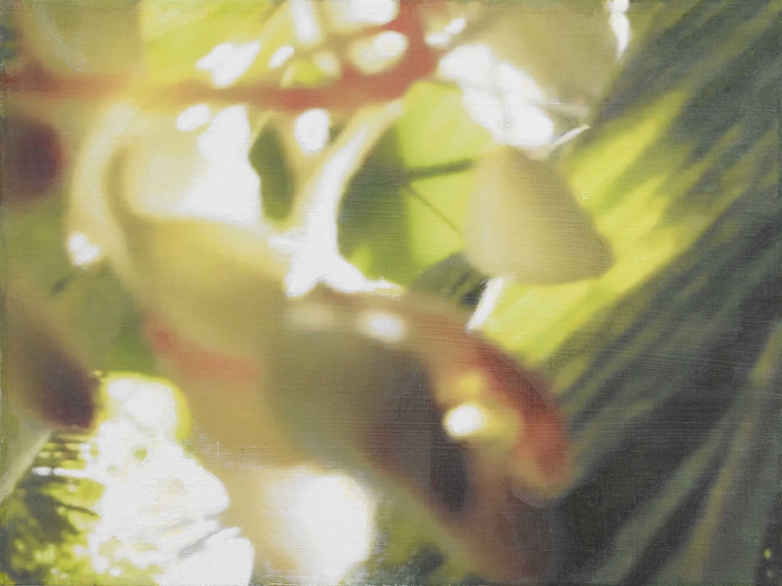 是枝 開  新作展