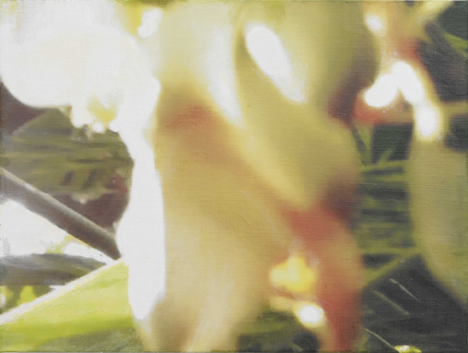 是枝 開  新作展