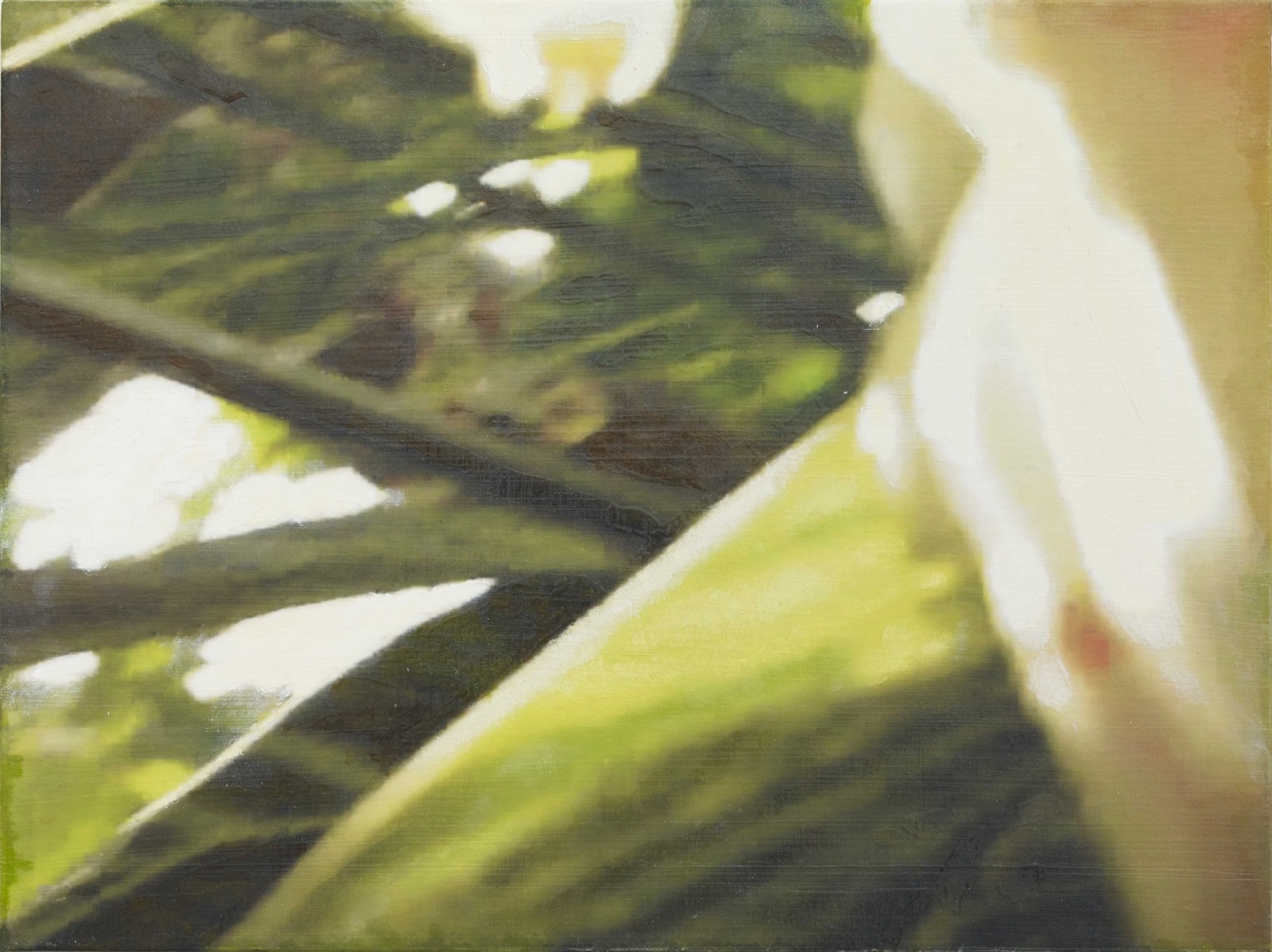 是枝 開  新作展