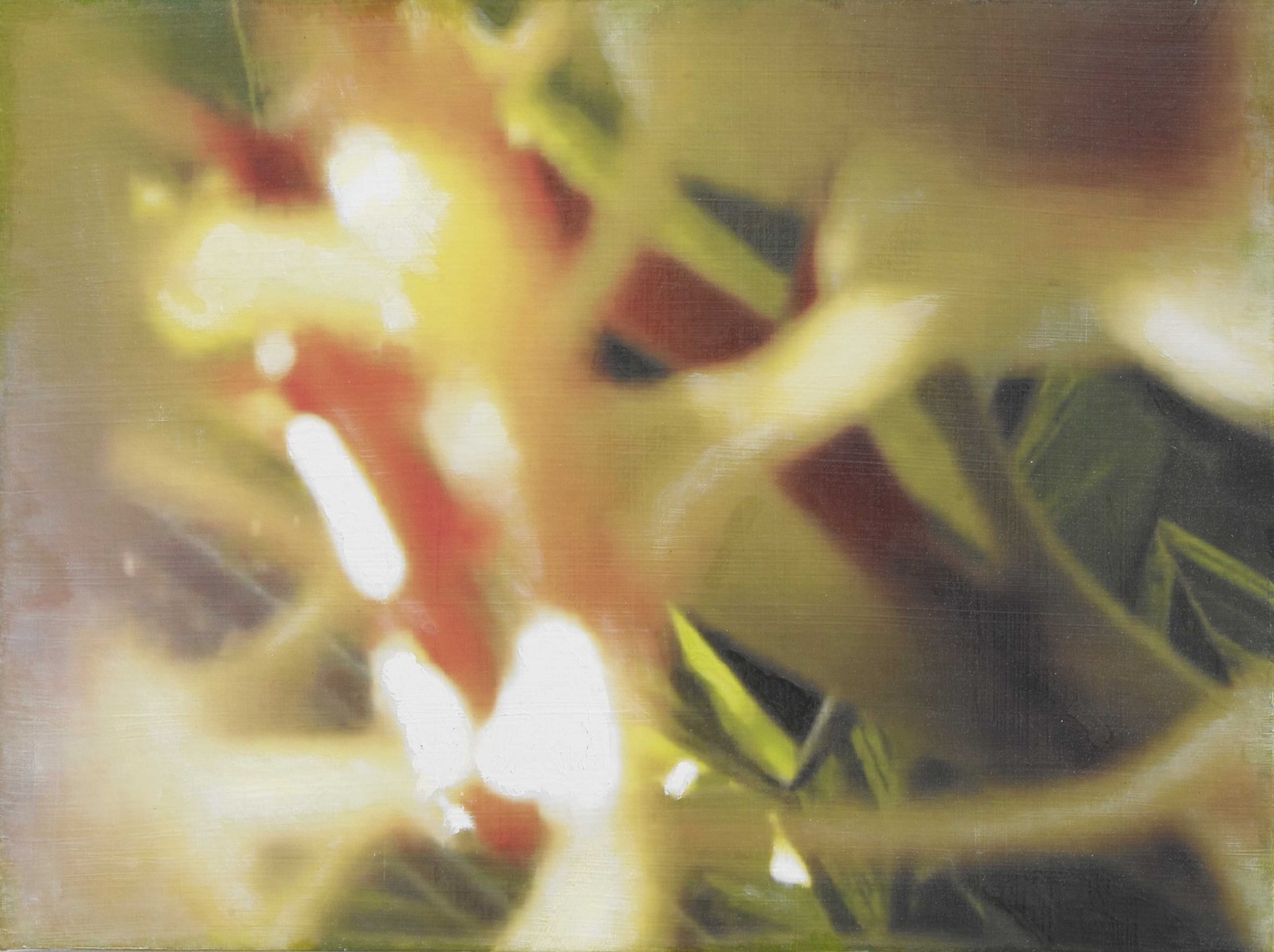 是枝 開  新作展