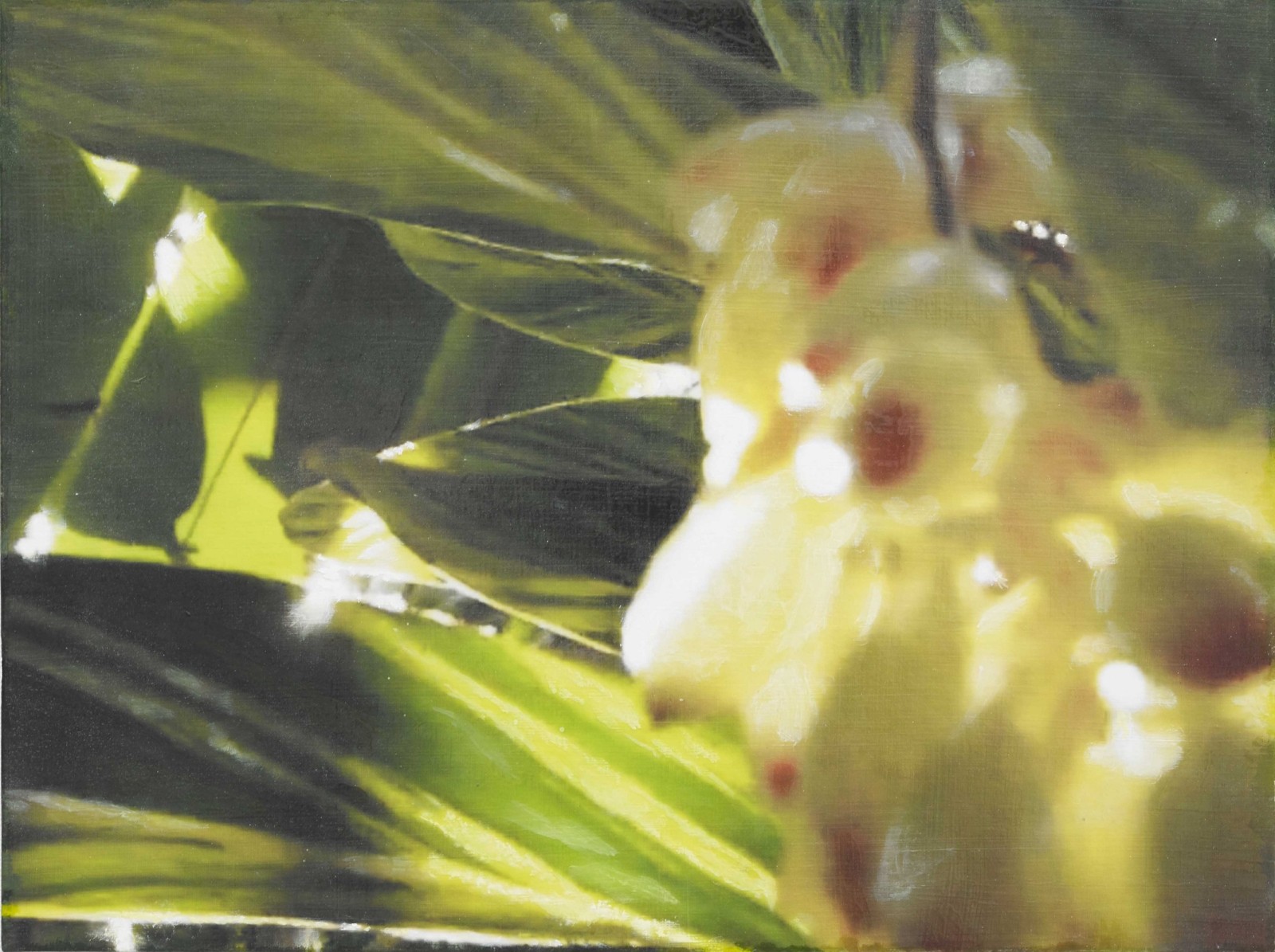 是枝 開  新作展