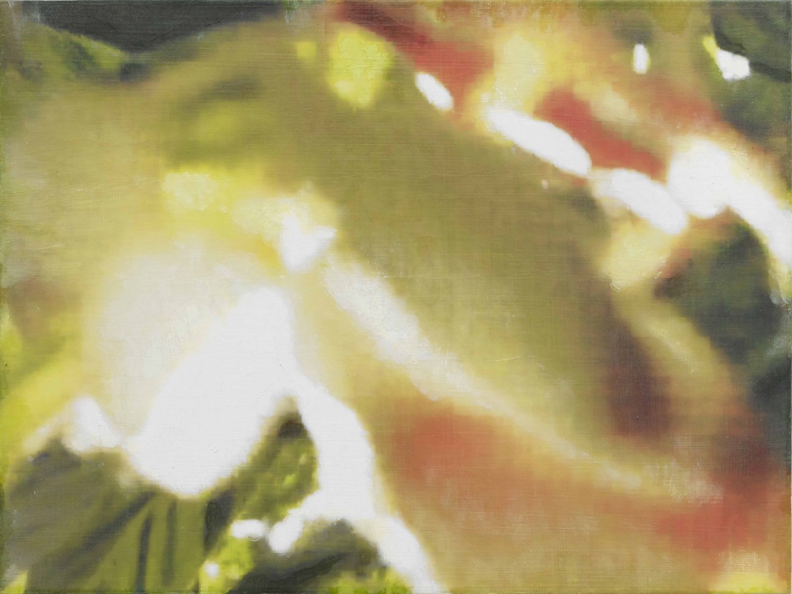 是枝 開  新作展