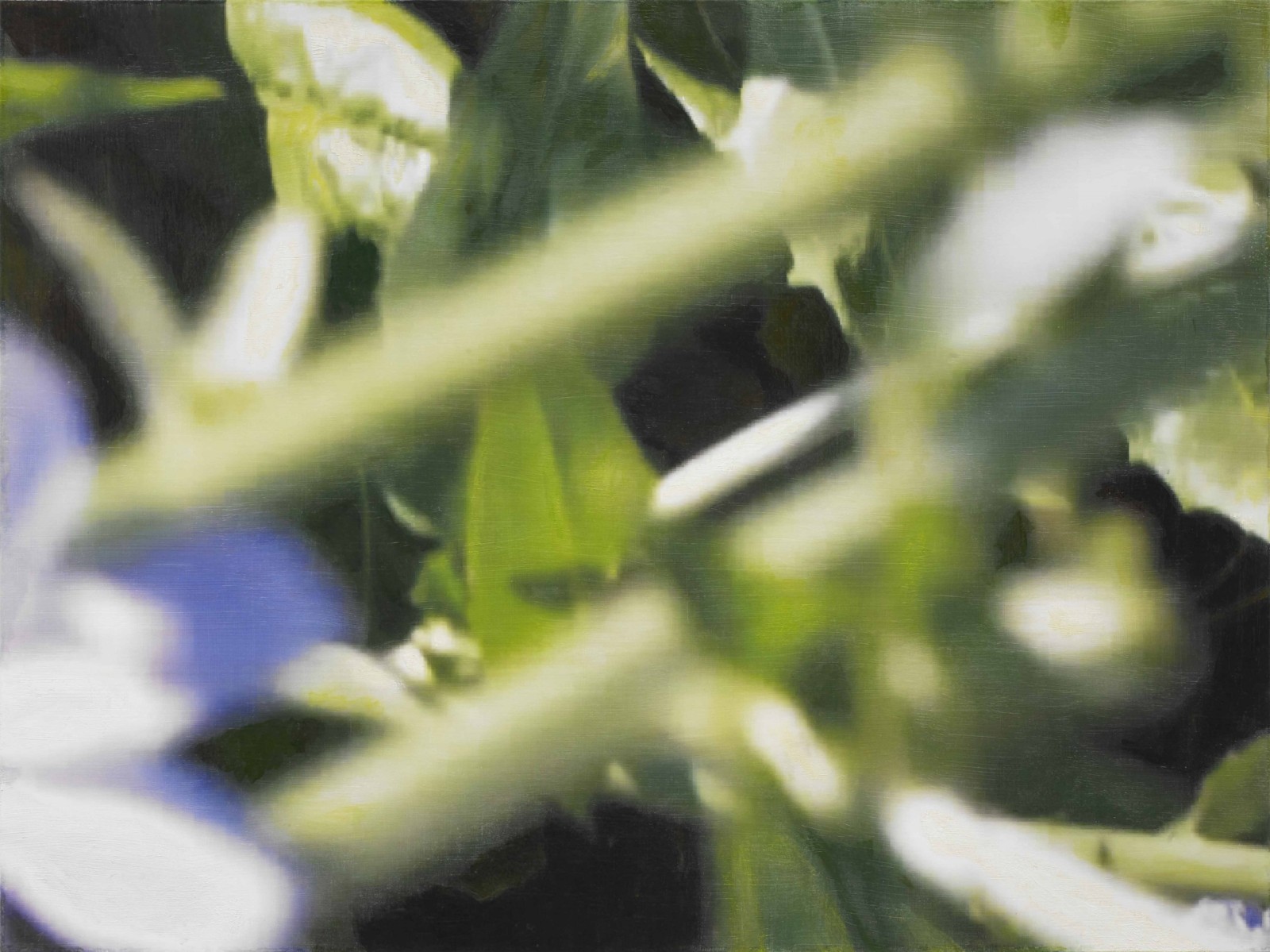 是枝 開  新作展