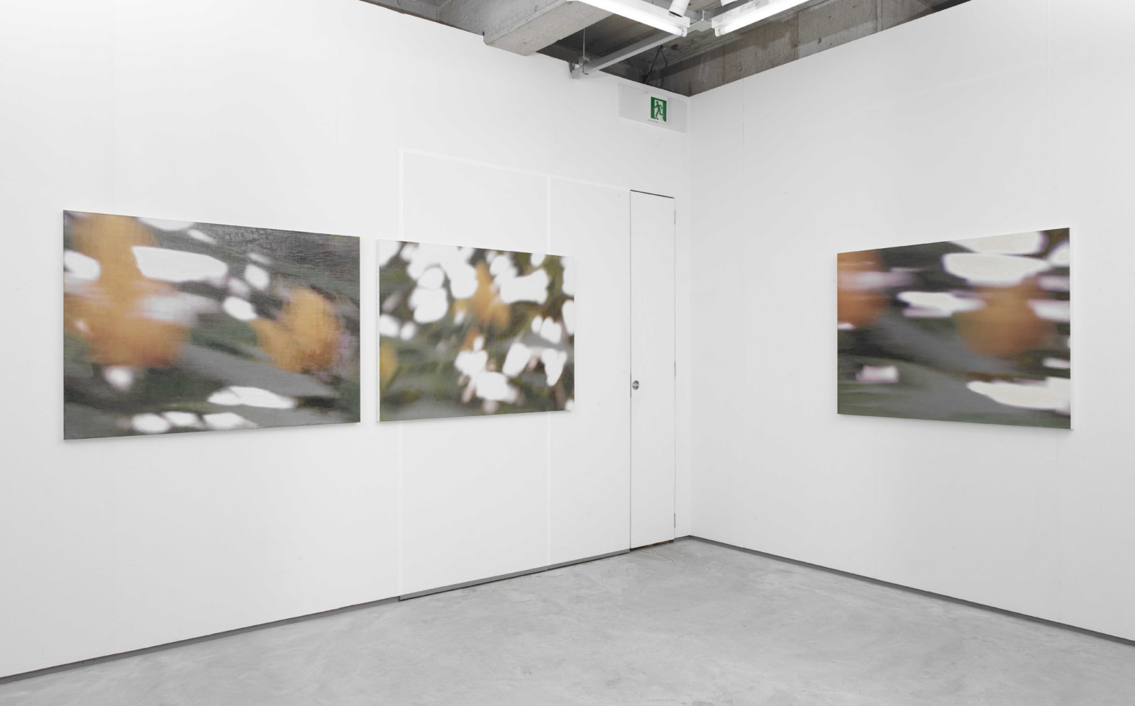 是枝 開  新作展