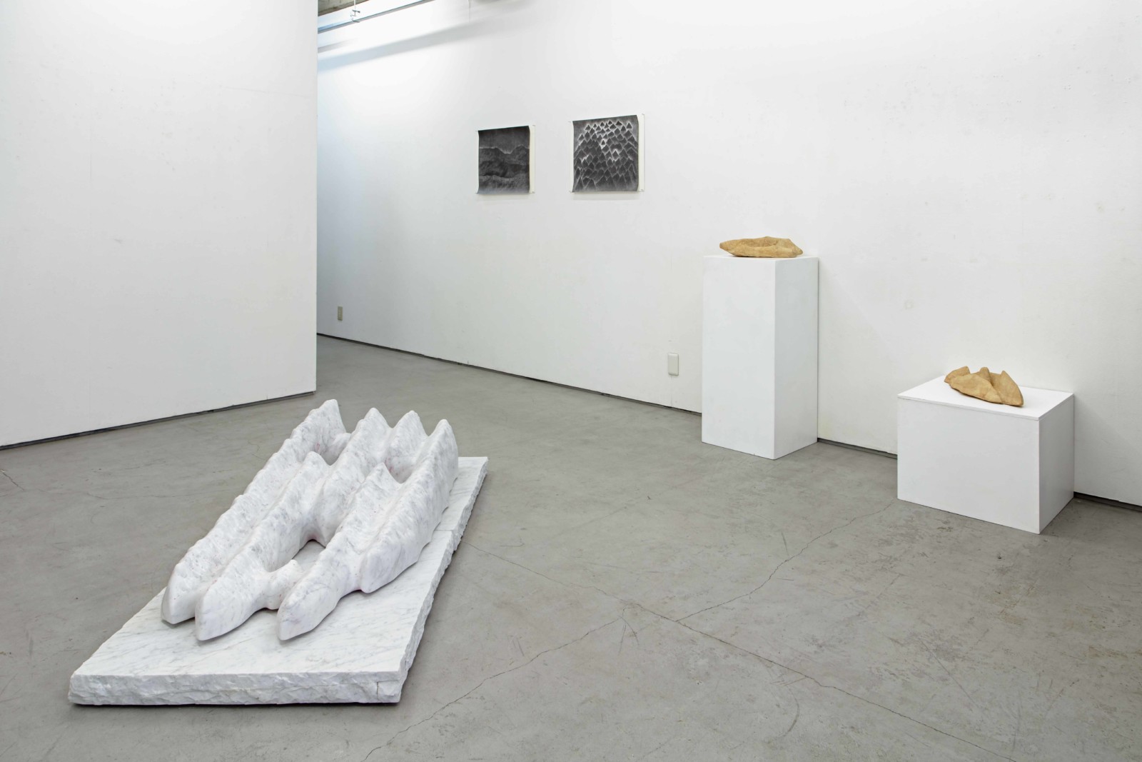 虎尾裕 新作展《森林限界を行く》 虎尾裕 新作展《森林限界を行く》