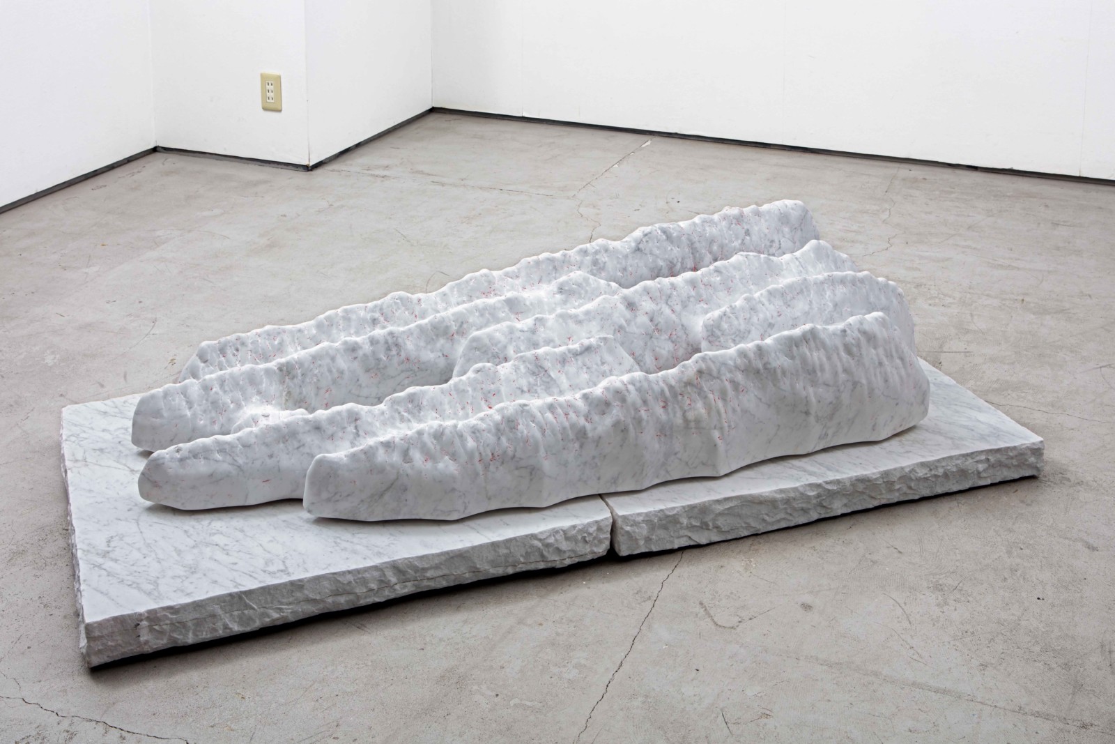 虎尾裕 新作展《森林限界を行く》 虎尾裕 新作展《森林限界を行く》