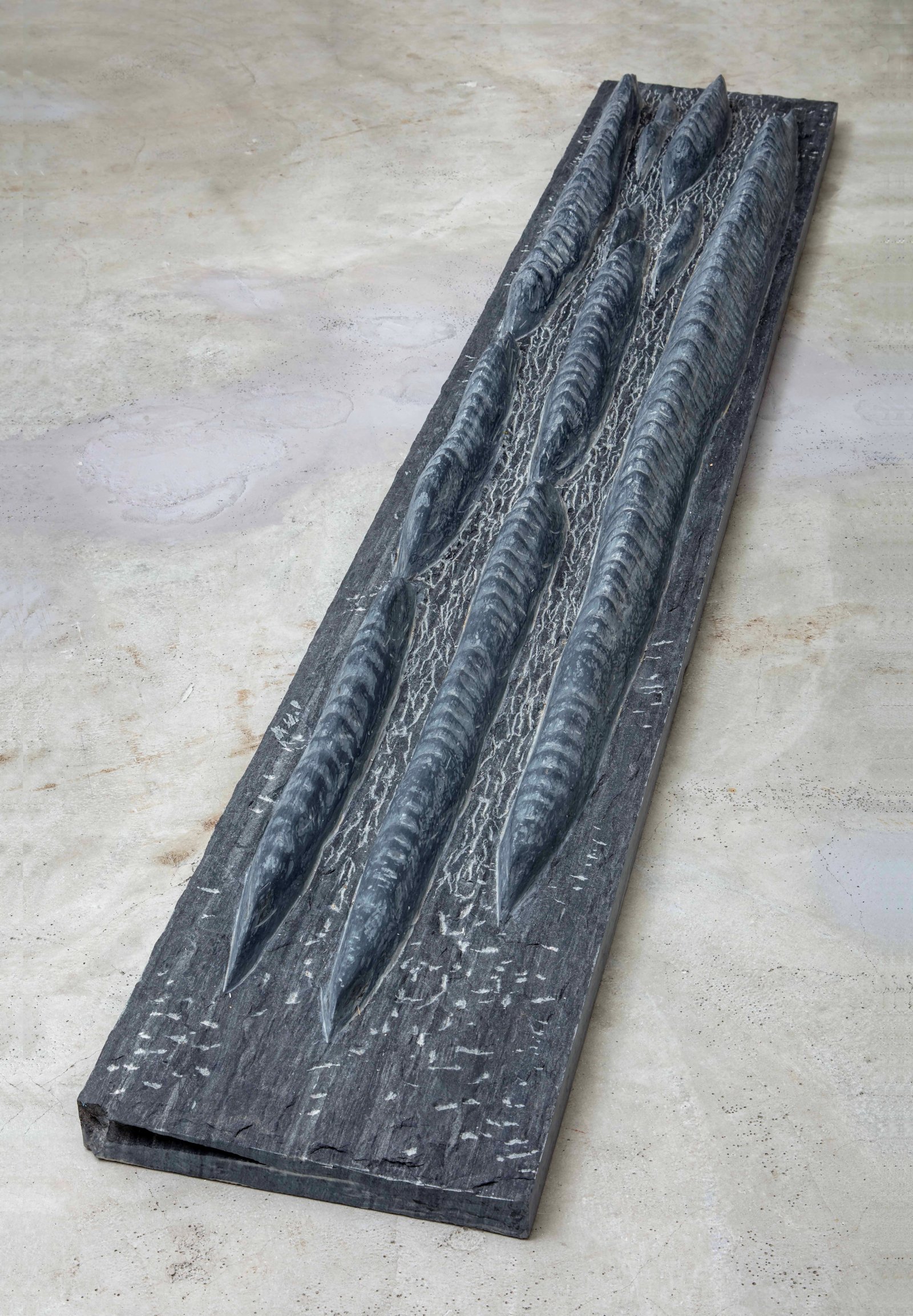 虎尾裕 新作展《森林限界を行く》 虎尾裕 新作展《森林限界を行く》