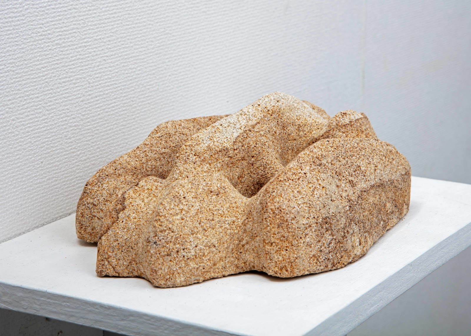 虎尾裕 新作展《森林限界を行く》 虎尾裕 新作展《森林限界を行く》