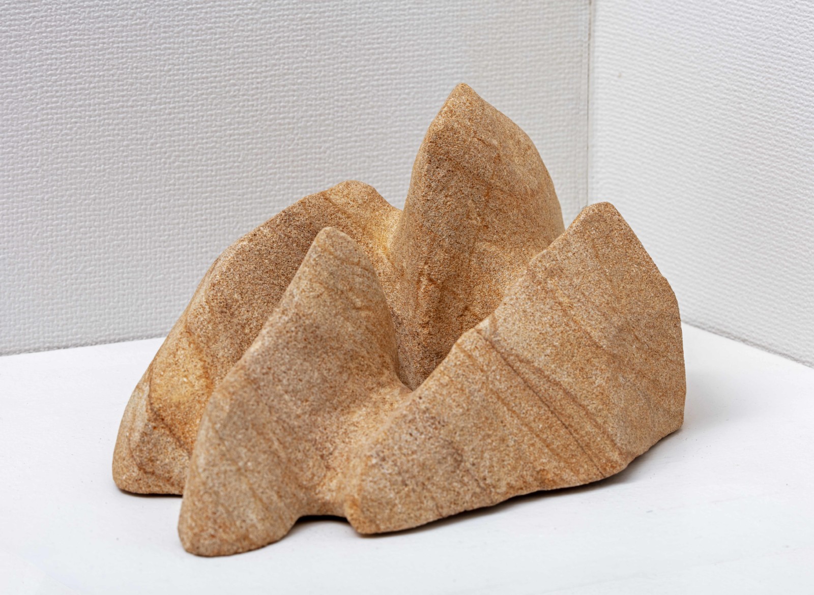 虎尾裕 新作展《森林限界を行く》 虎尾裕 新作展《森林限界を行く》